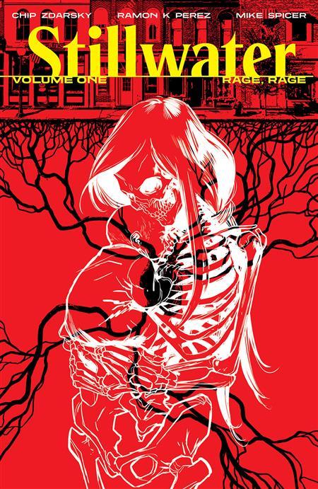 STILLWATER BY ZDARSKY & PEREZ TP VOL 01