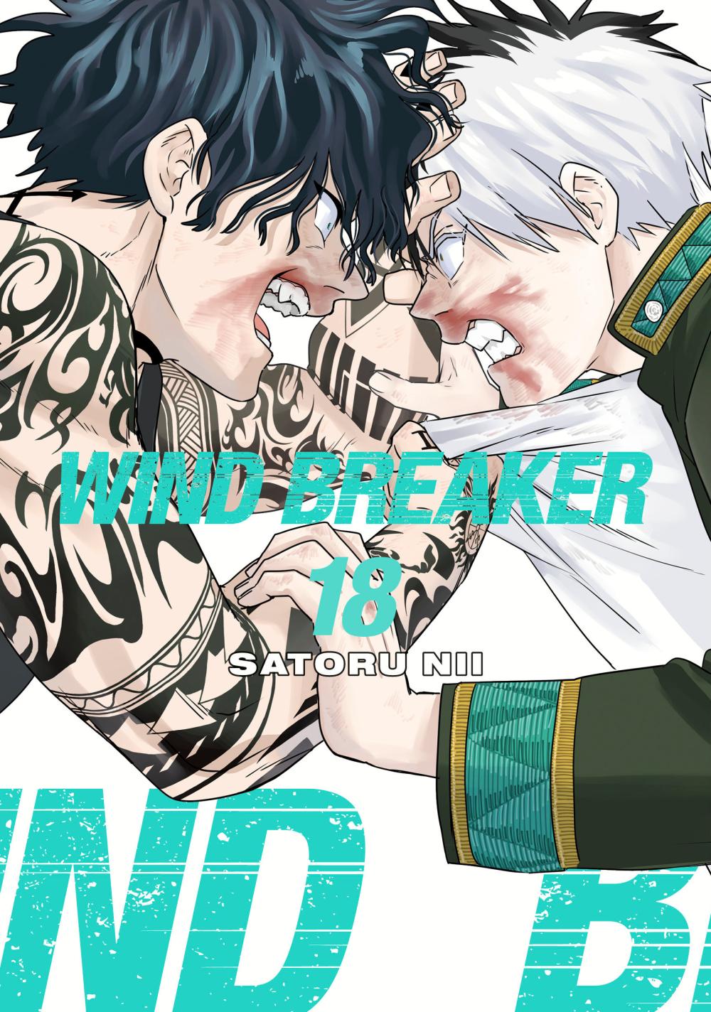 WIND BREAKER GN VOL 18