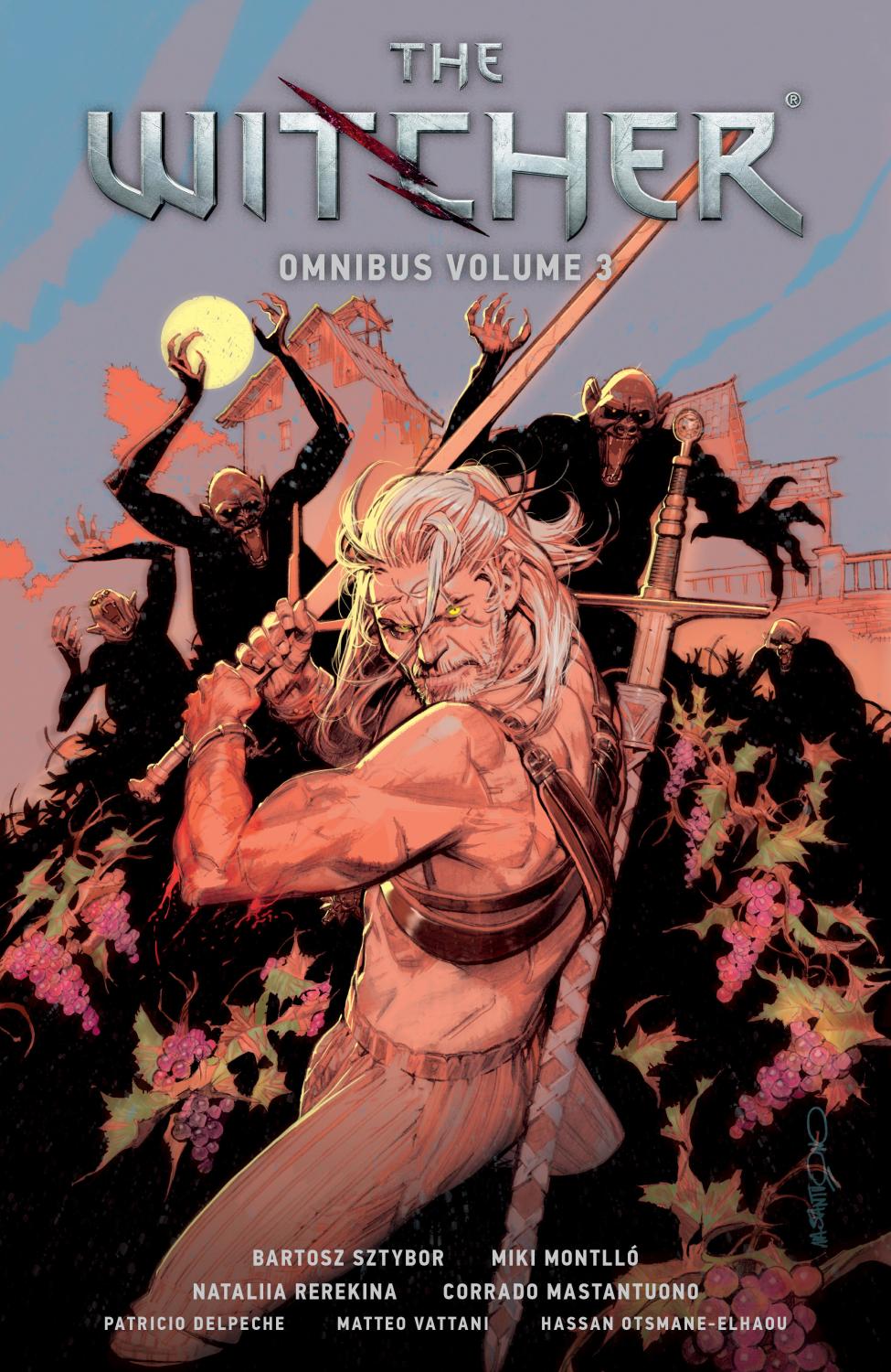 THE WITCHER OMNIBUS VOLUME 3 TP