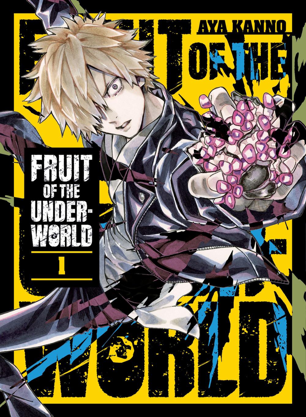 FRUIT OF THE UNDERWORLD GN VOL 1