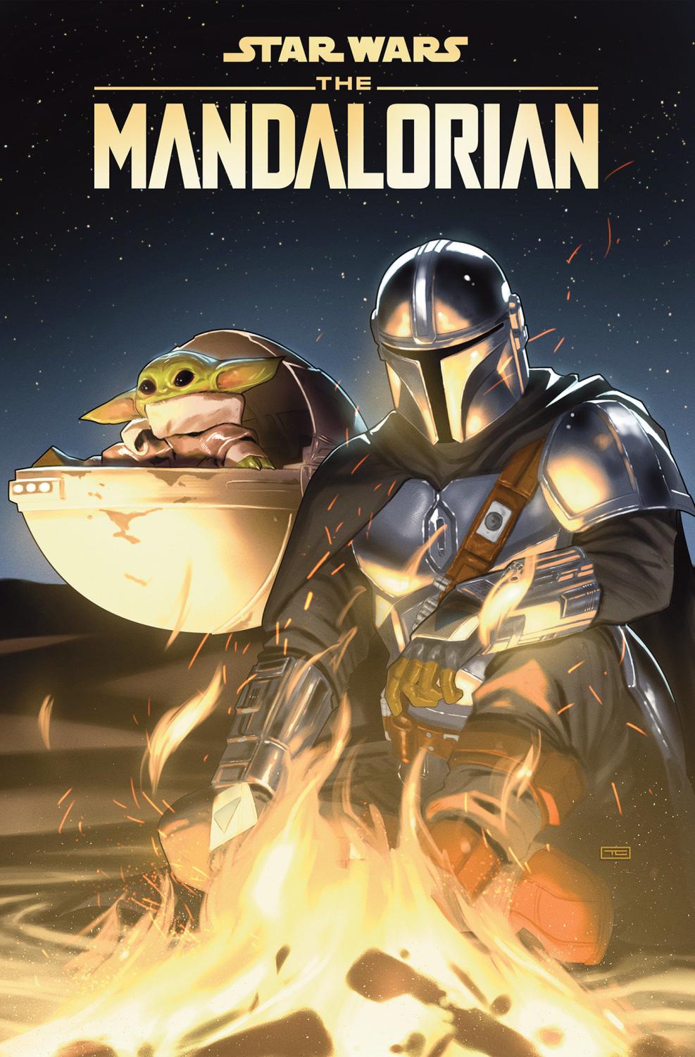 STAR WARS THE MANDALORIAN TP VOL 01