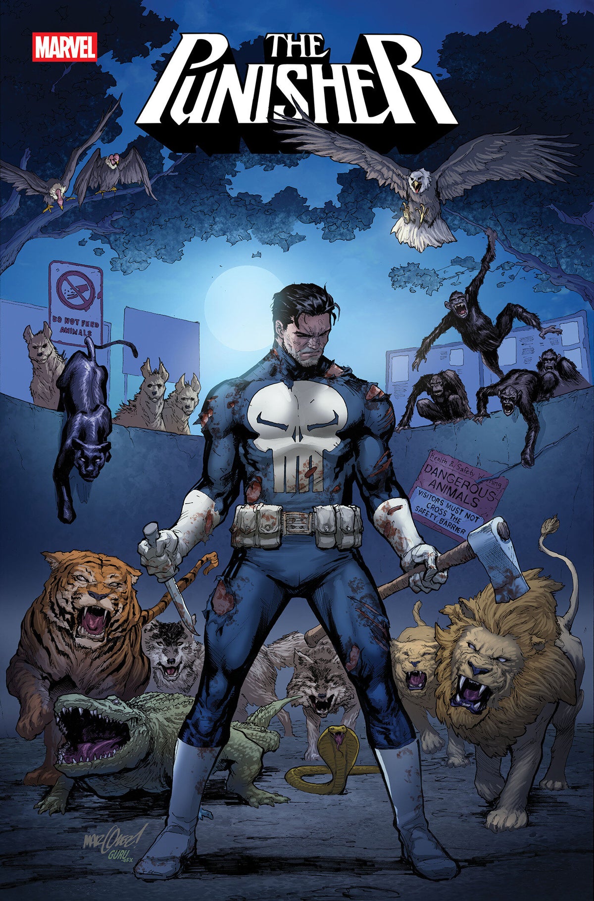 PUNISHER #11 CVR A