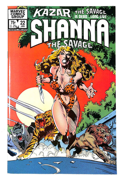 Ka-Zar the Savage 1981 #22 - back issue - $10.00