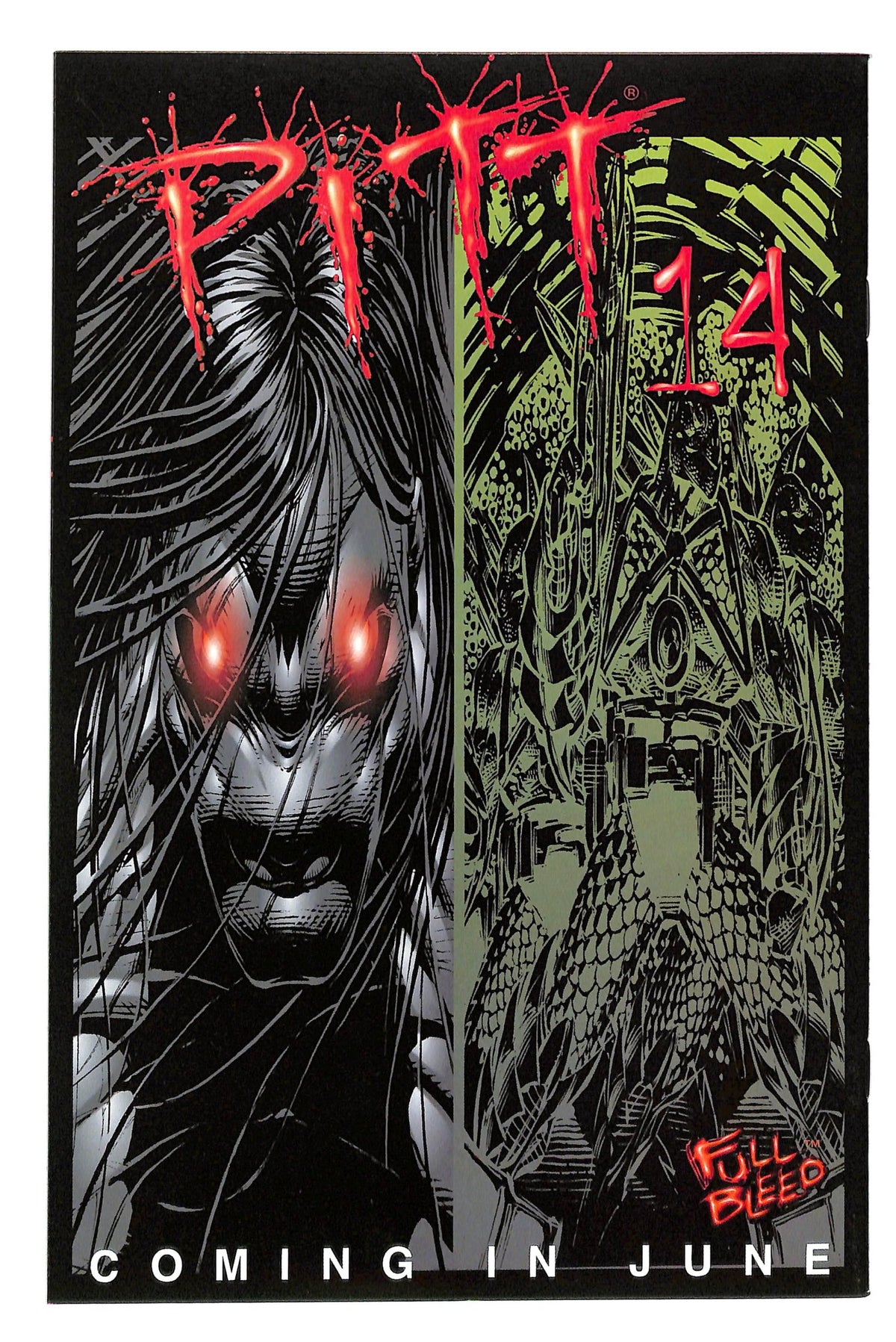 Pitt 1996 #13 - back issue