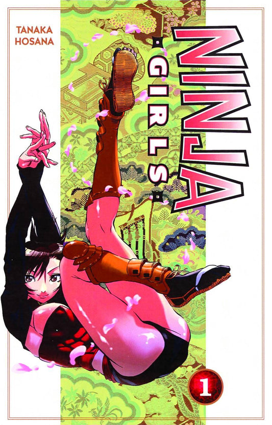 NINJA GIRLS 1