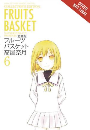 FRUITS BASKET COLLECTORS ED TP VOL 06
