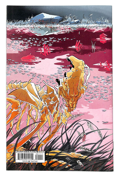 Pretty Deadly 2013 #1 - back issue - $20.00