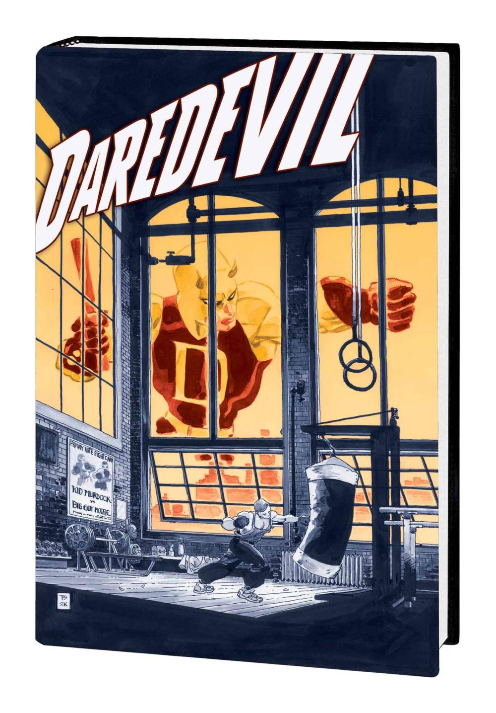 JEPH LOEB AND TIM SALE DAREDEVIL GALLERY EDITION HC