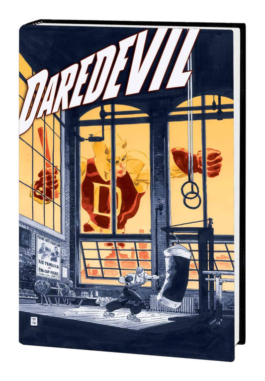 JEPH LOEB AND TIM SALE DAREDEVIL GALLERY EDITION HC