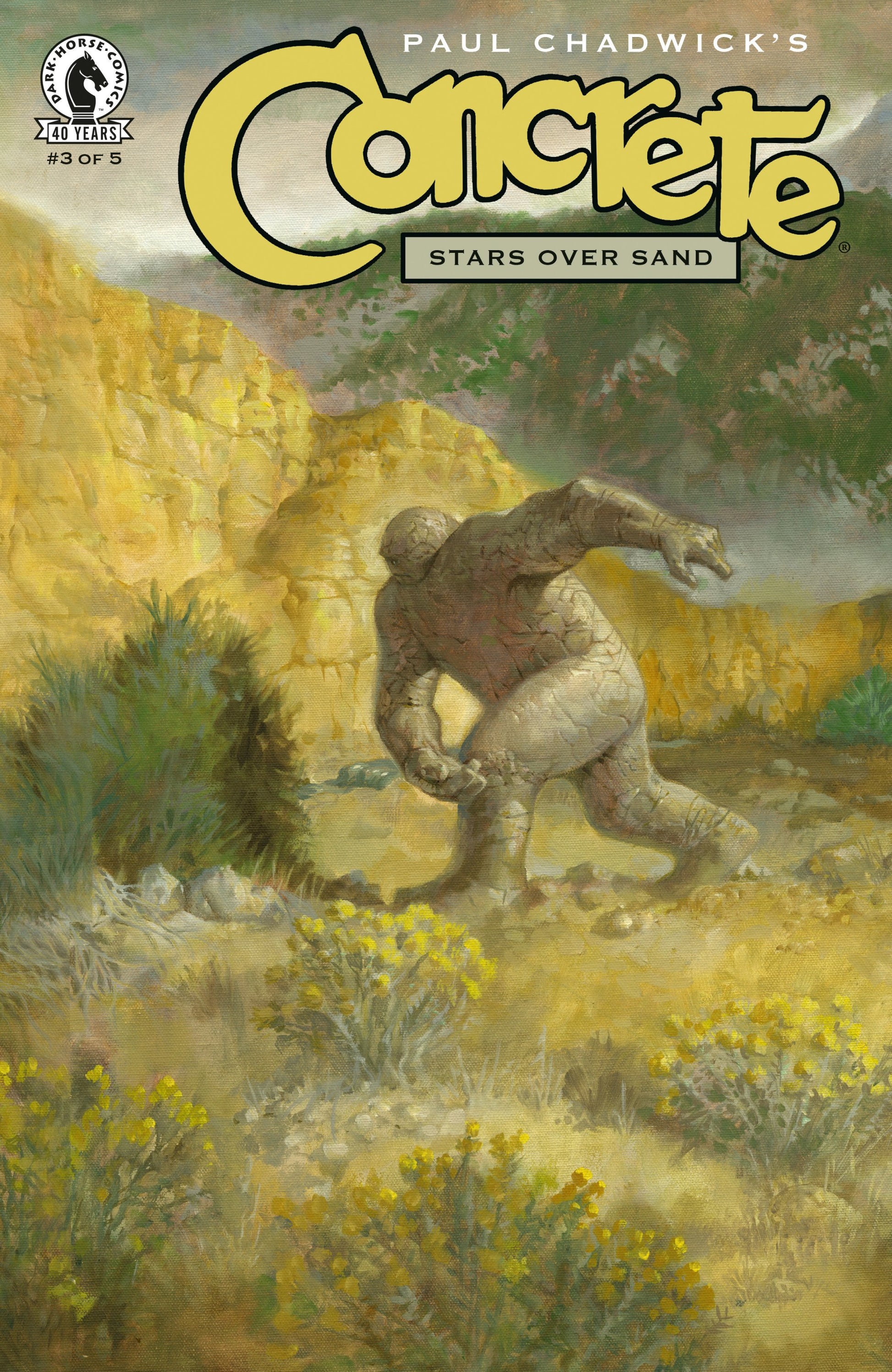 CONCRETE STARS OVER SAND #3 CVR A PAUL CHADWICK