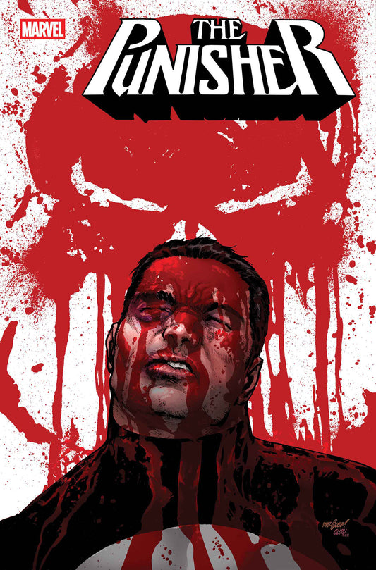 PUNISHER #6 CVR A