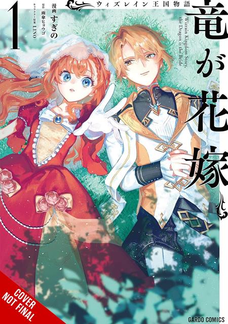 TALE OF THE WIZRAIN KINGDOM THE DRAGON IS THE BRIDE GN VOL 1