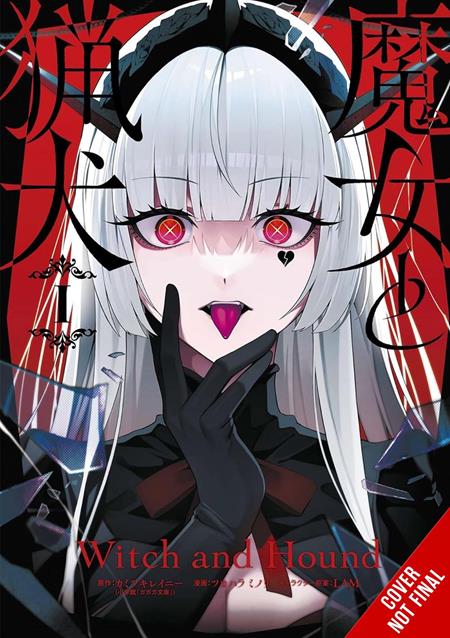 WITCH AND HOUND GN VOL 1