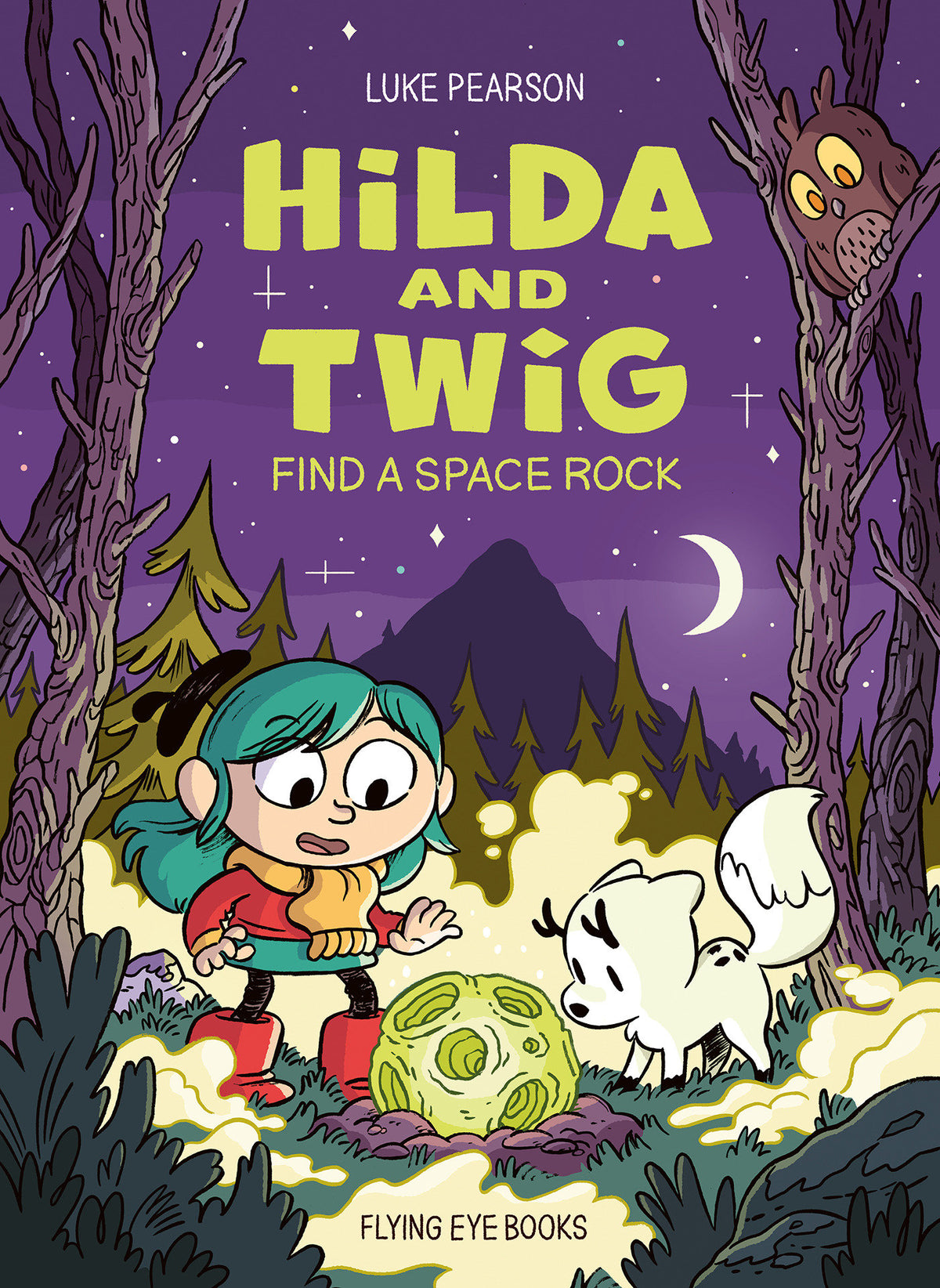 HILDA AND TWIG FIND A SPACE ROCK HC