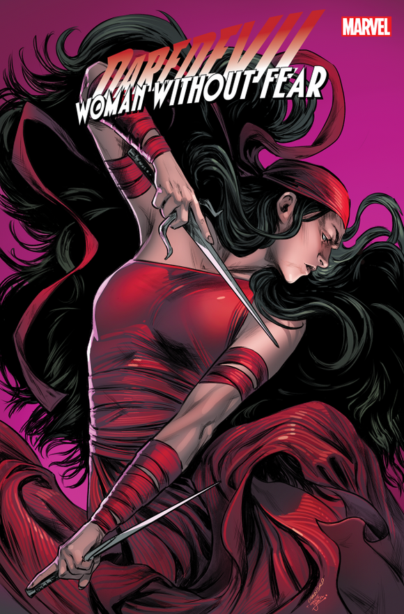 Daredevil Woman Without Fear #3 (Of 3) Carnero Stormbreakers Variant