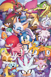 Sonic The Hedgehog #50 Cvr B Evan Stanley