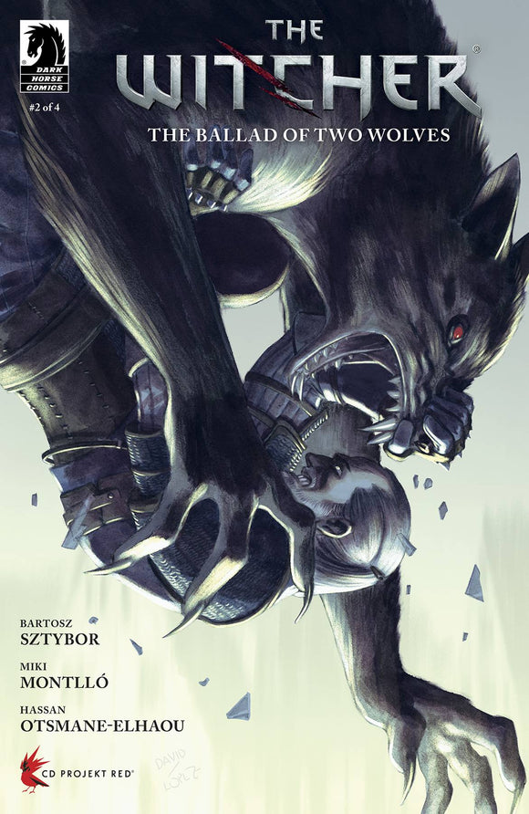 Witcher The Ballad Of Two Wolves #2  Cvr D Lopez (Of 4)