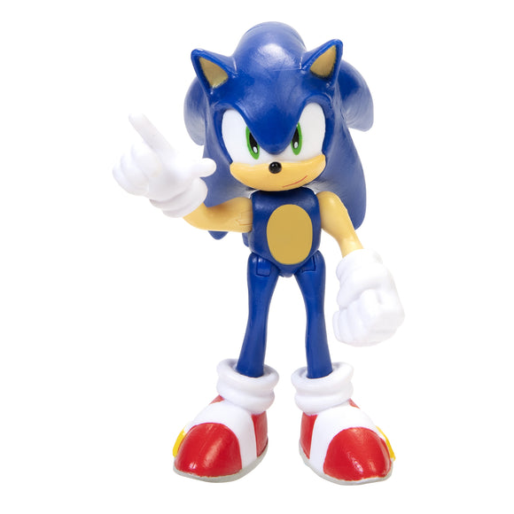 Sonic The Hedgehog 2-1/2In Sonic Reg